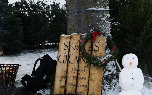 Köp julgran i Täby Park